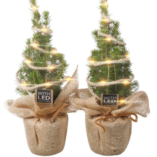 Mini kerstboom met LED-licht